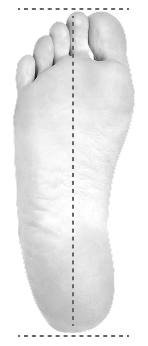 foot