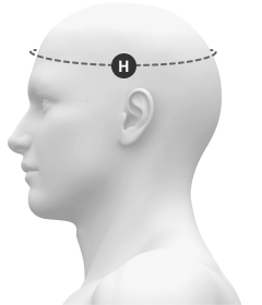head